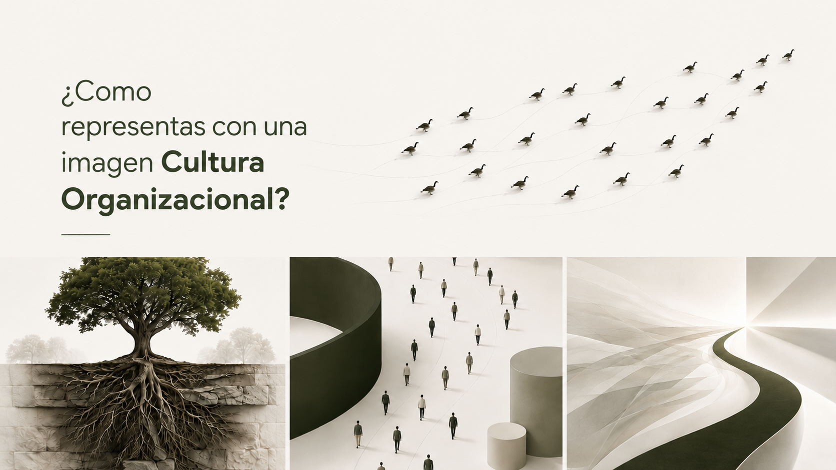 La cultura organizacional no se representa. Se reconoce.